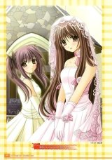 BUY NEW suzuhira hiro - 51118 Premium Anime Print Poster